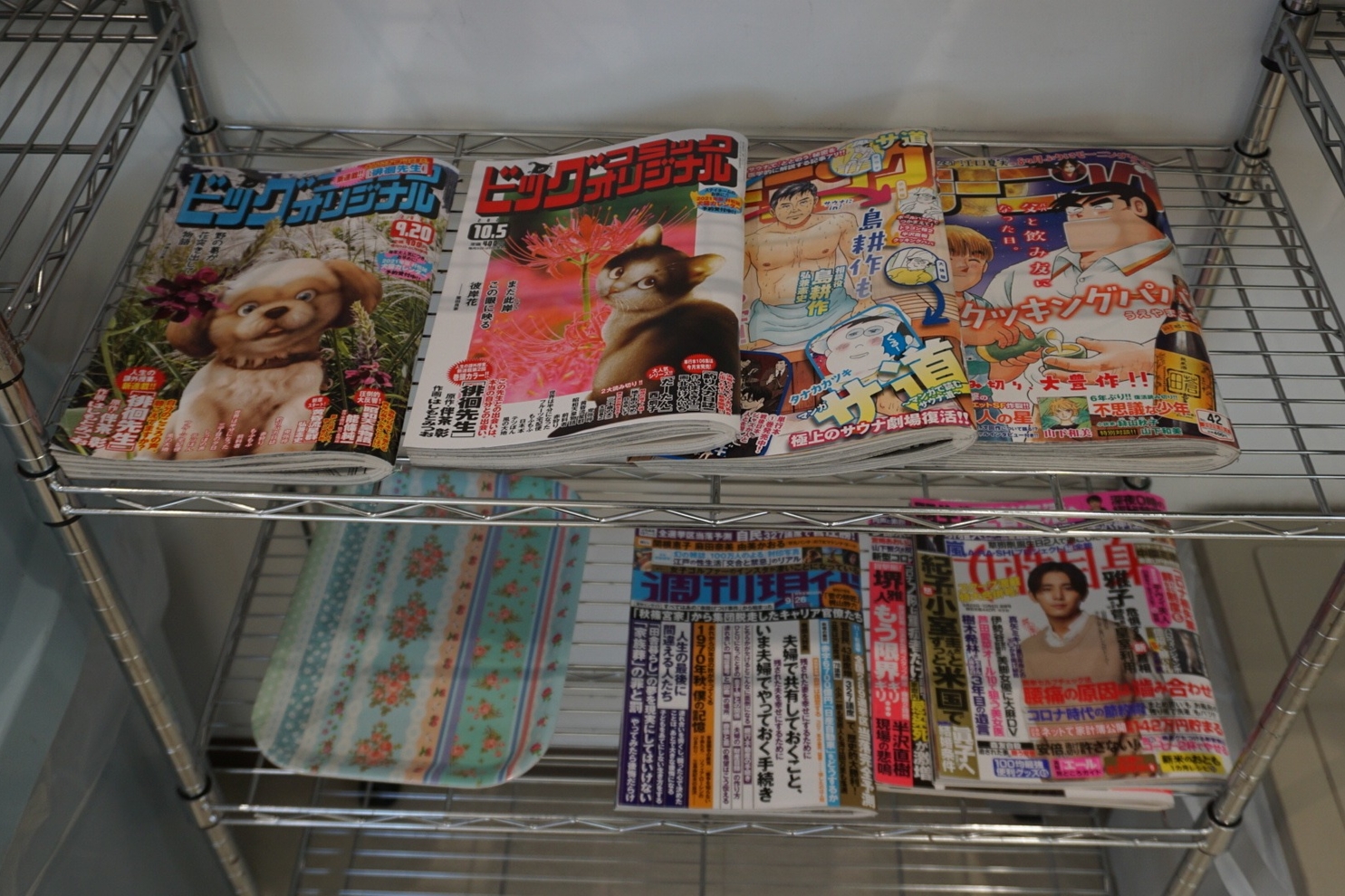 コロナ 恵庭