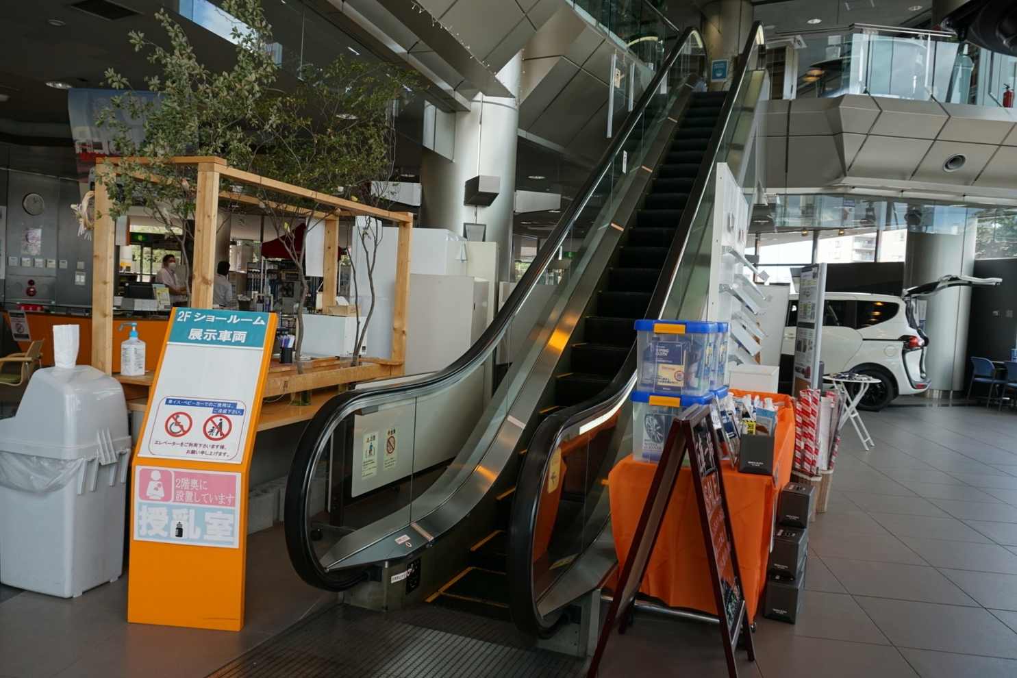 本店20