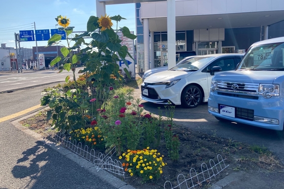 ダイハツ豊平2022-03