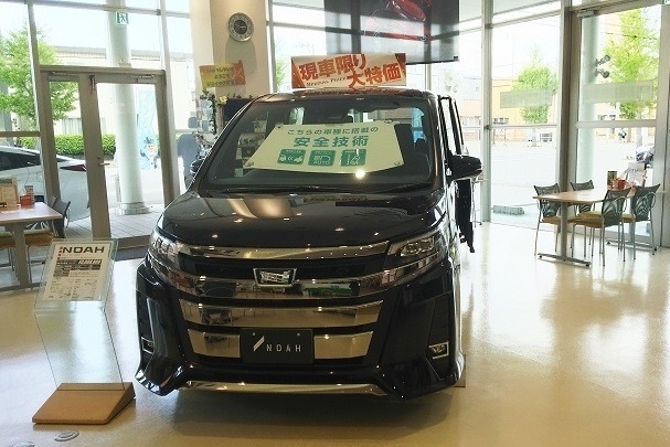 shinkotoni