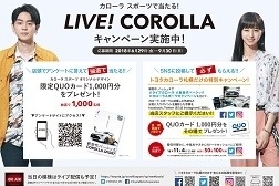 /file/cms/31201/450771/image.jpg