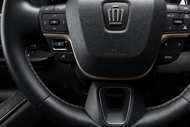 70th anniversary 特別装備（RS “THE 70th”専用）