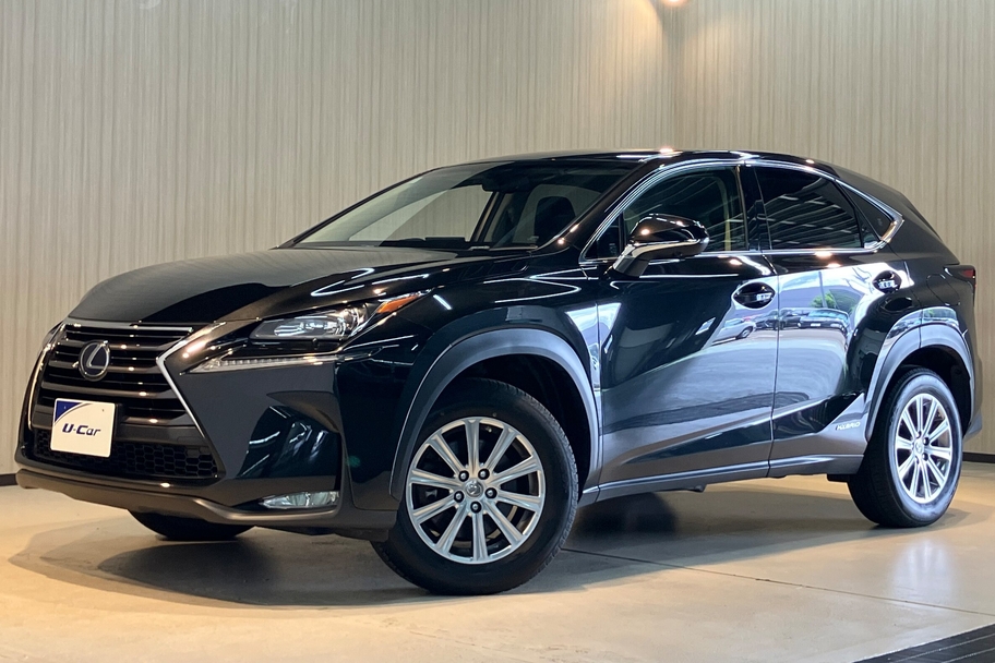 【20251127】300h 4WD