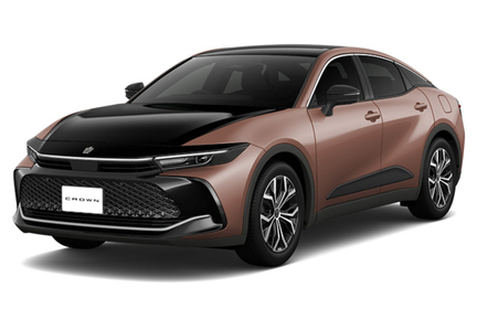 ブラック〈227〉×プレシャスブロンズ〈4Y6〉［2XZ］フロントサイド